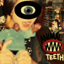 animalteethart avatar