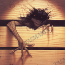 animalvius-blog avatar