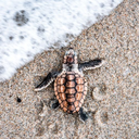 animalwhispererbitches-blog avatar