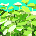 animatedartistszine avatar