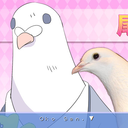 animatedcatastrophe-blog avatar