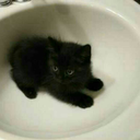 anime-no-robo avatar