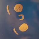 anime-ships-are-my-life avatar