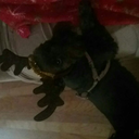 anime6420-blog avatar