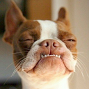 animechainsaws-blog avatar