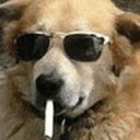 animecrocodilecollecter avatar