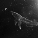 animegirlbloger avatar