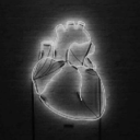 animointeriore avatar