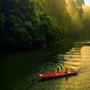 animpulsivemess avatar