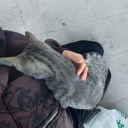 ankararuzgaridegilankarayazi avatar