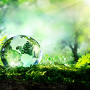 anlamlikisasozler avatar