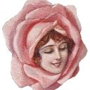 anlmalcollective avatar