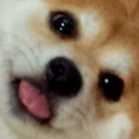 ann-ihi-lat-ion avatar