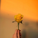 ann-nhienn-blog avatar