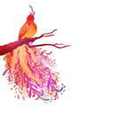 anna-dax-a-lot avatar