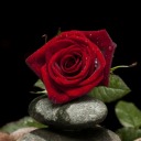 anna-eugenia62 avatar