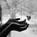 anna-kosian-blog avatar