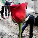 annaandelsaofarendelle avatar