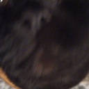 annabelkutimets avatar