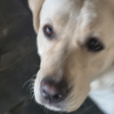 annabia1989-blog avatar