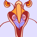 annaginsburg-blog avatar