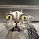 annaglitchlol avatar