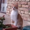 annagregwrites avatar