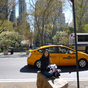 annakarenlozano avatar