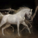 annalovestomriddle avatar