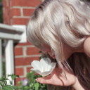 annaphylaxxxis avatar