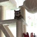 annastasiaglc avatar