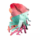 anne-lamb avatar