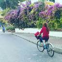 anneevdeyokde avatar