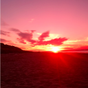 annehansen1012 avatar