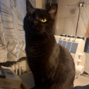 annemette2703 avatar