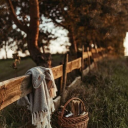 annescosycorner avatar