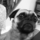 annieoftheocean avatar