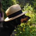 annieslearningjourney avatar