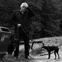 annina-dietzenbacher-photography avatar