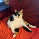 annnie-banannnie avatar