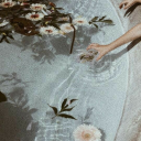 annonomus-stuff avatar