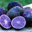 annoying-introvert avatar