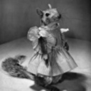 annoyingavenueobject avatar