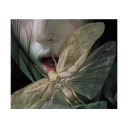 annoyinglyjoyfuldream avatar