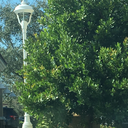 annoyinglysarcastic avatar