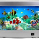 annoyingshitt avatar