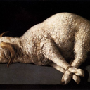 anoceanofprofundity avatar