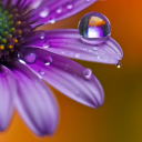 anon-unknown001 avatar