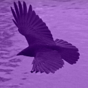 anonlittlebird avatar