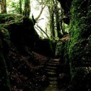 anonslittlehelper avatar